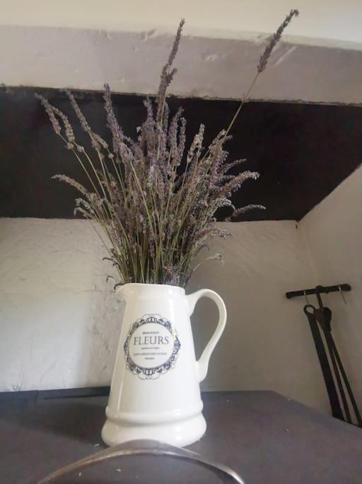 The Walnut Tree. Apartment Saint-Aulaye-Puymangou ภายนอก รูปภาพ